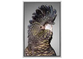 Black Cockatoo 2 | Canvas Wall Art Print