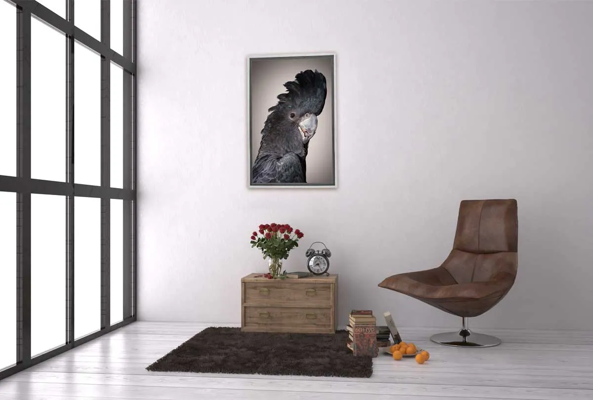 Black Cockatoo | Canvas Wall Art Print