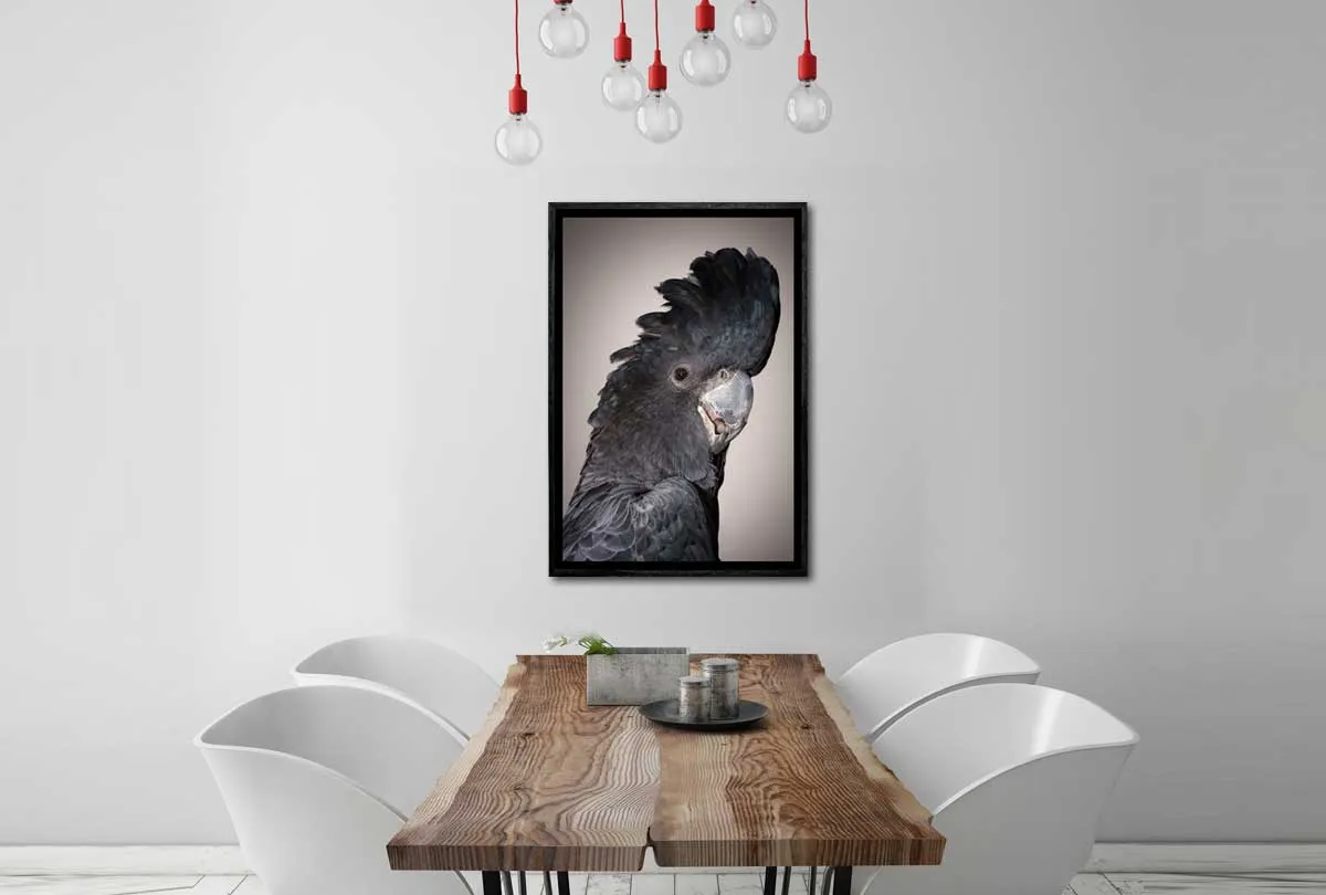 Black Cockatoo | Canvas Wall Art Print