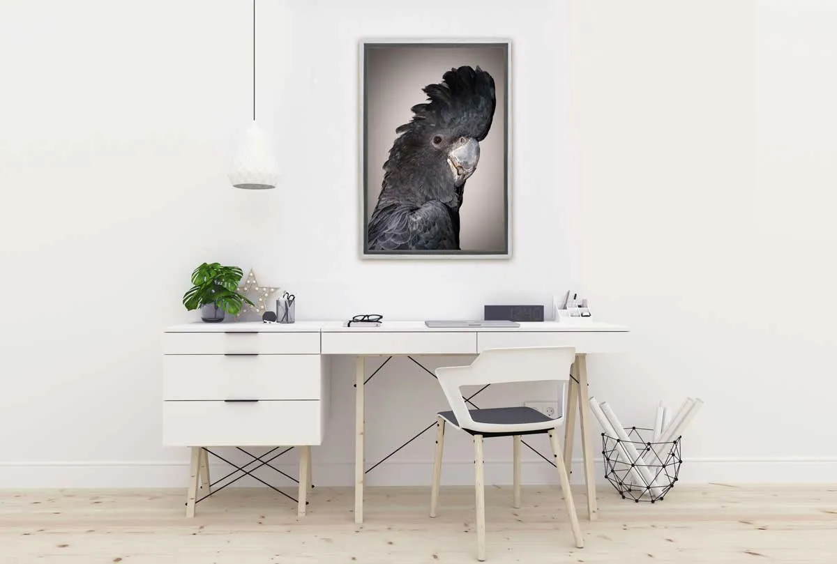 Black Cockatoo | Canvas Wall Art Print