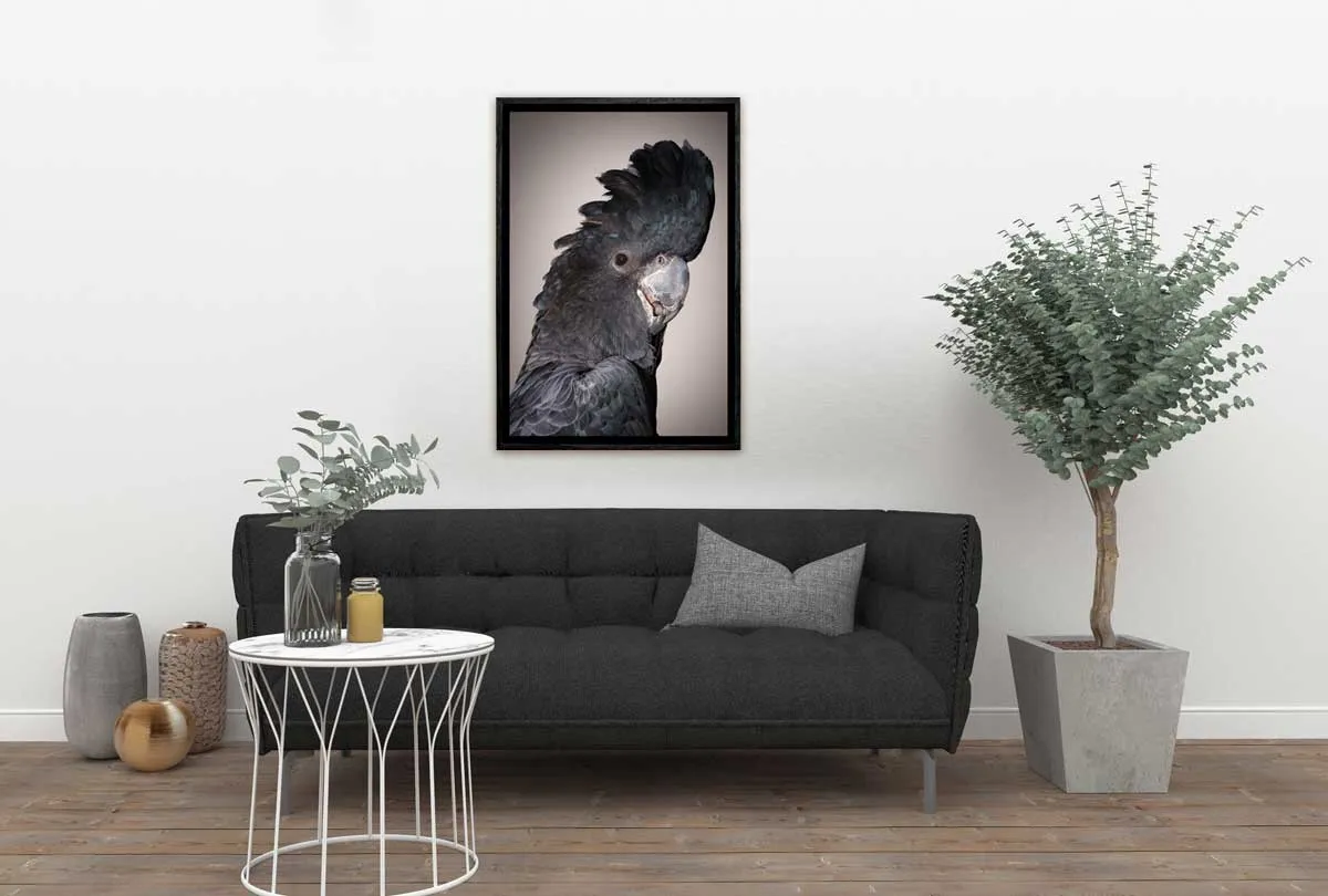 Black Cockatoo | Canvas Wall Art Print