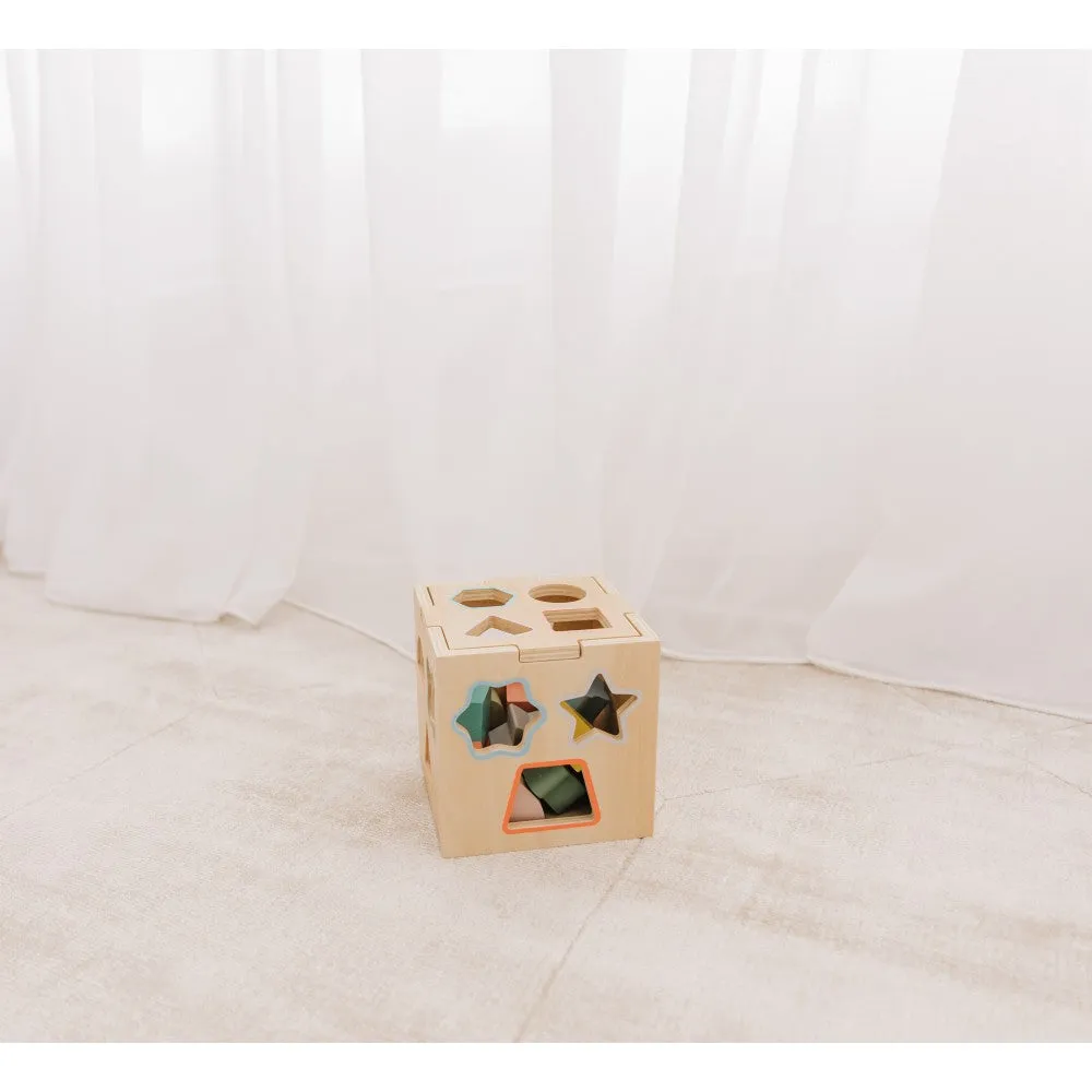 Bubble Wooden Shape Sorting Cube