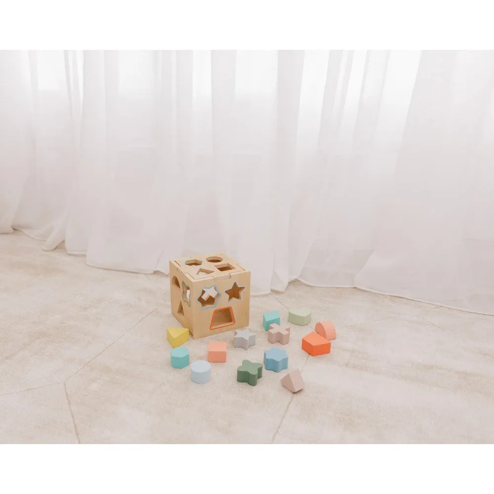 Bubble Wooden Shape Sorting Cube