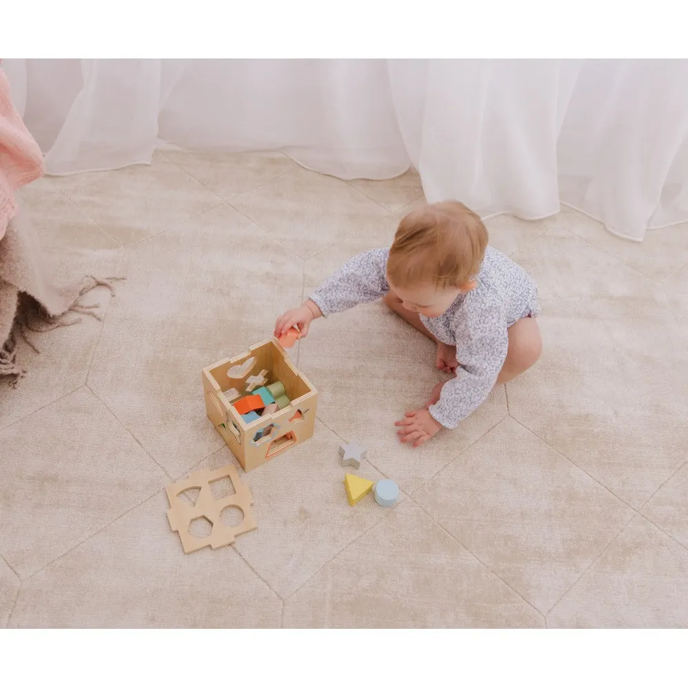 Bubble Wooden Shape Sorting Cube