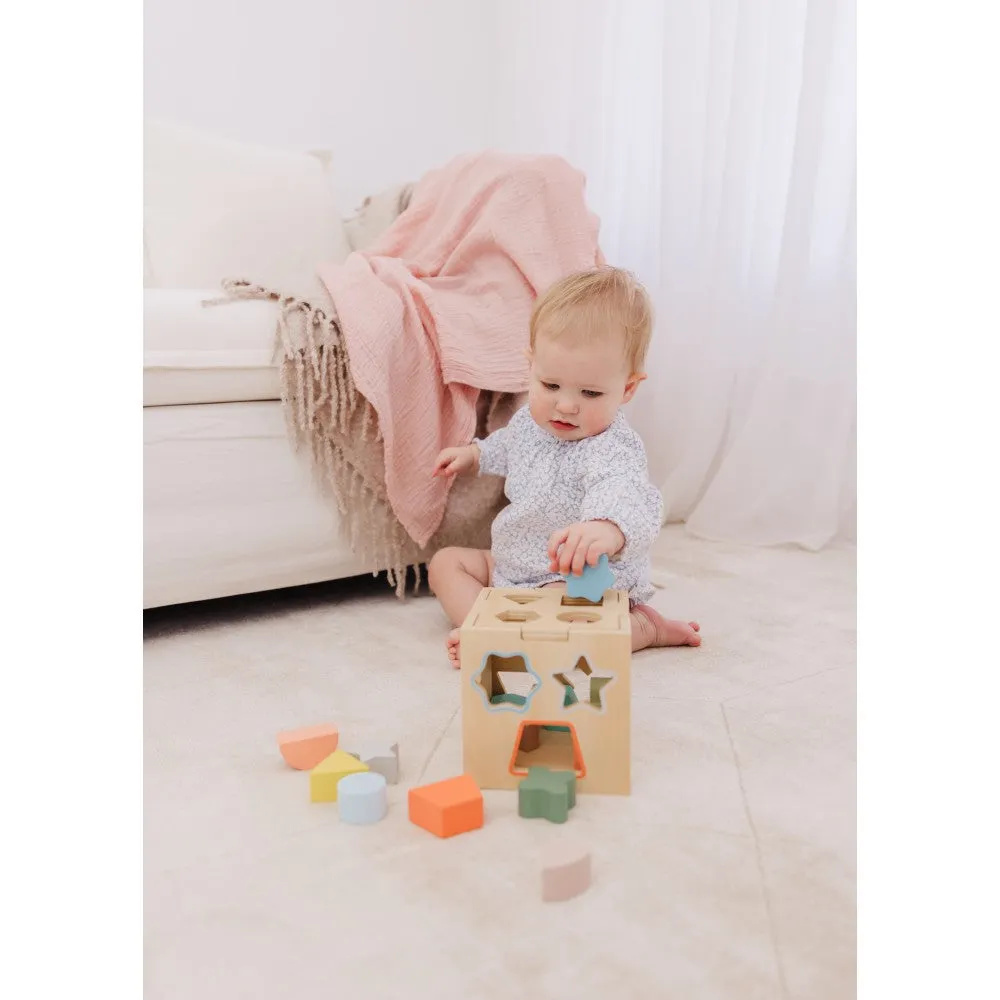 Bubble Wooden Shape Sorting Cube