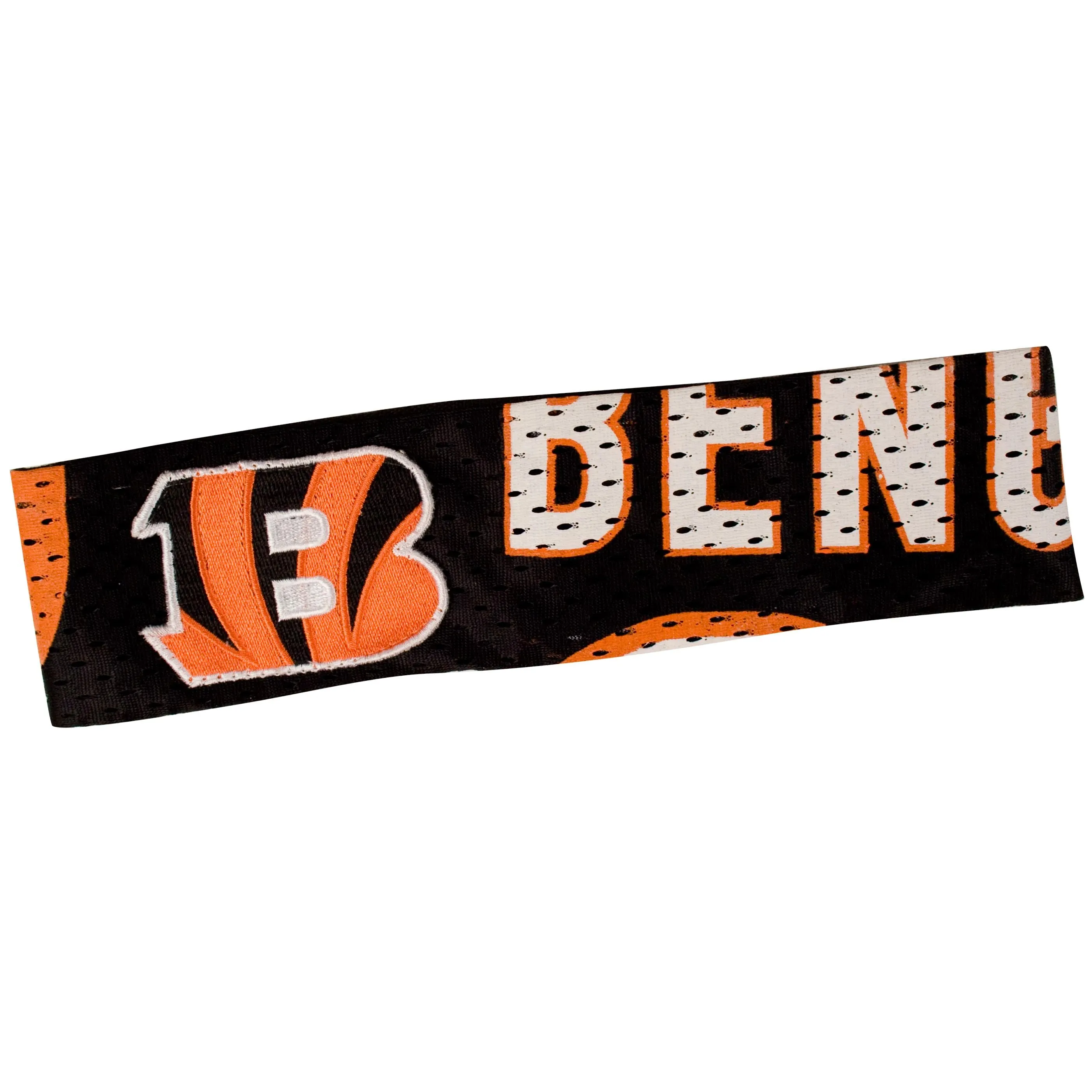 Cincinnati Bengals FanBand