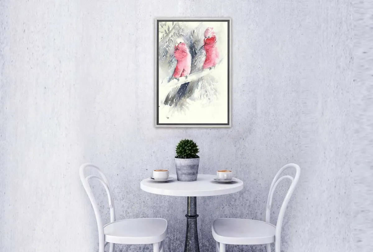 Galahs | Canvas Wall Art Print