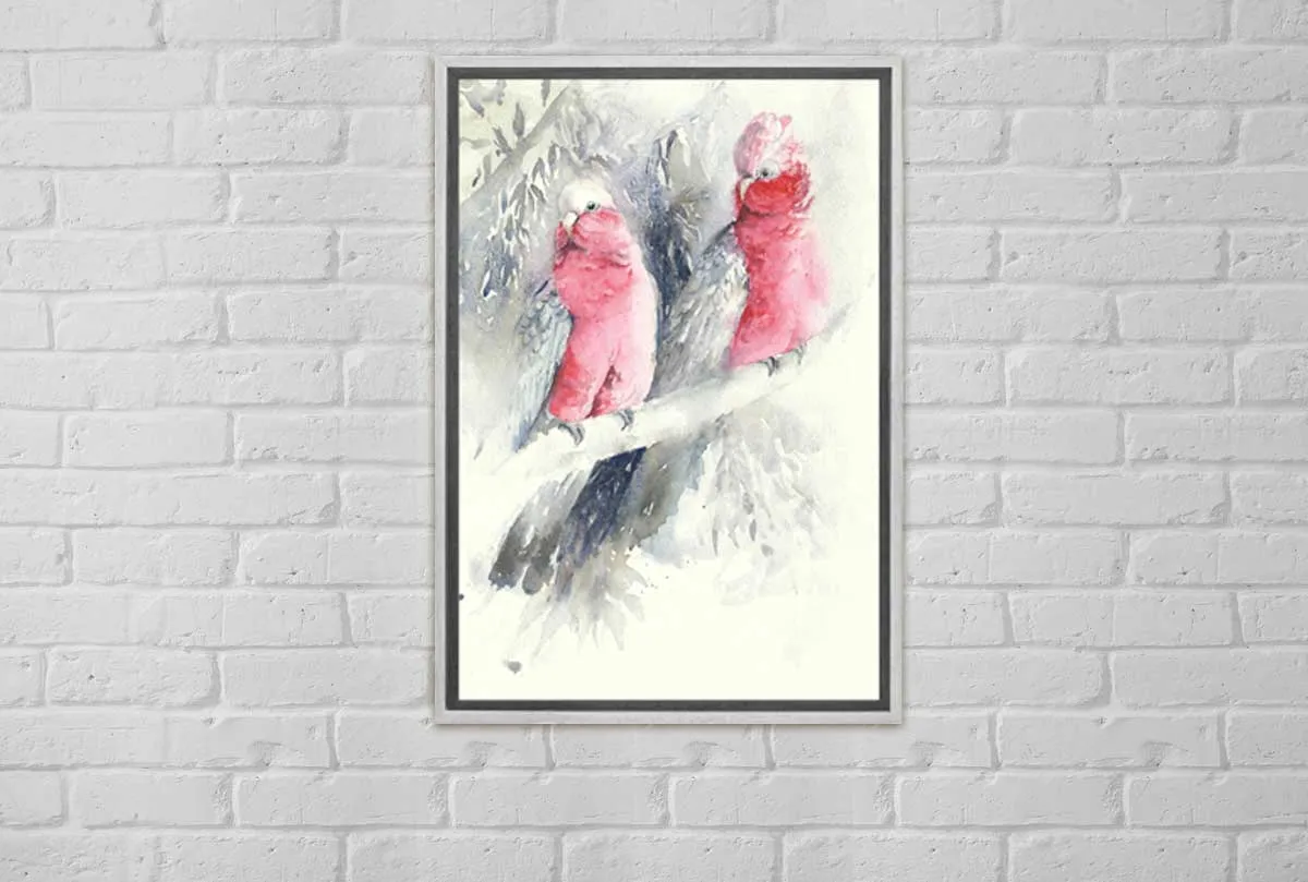 Galahs | Canvas Wall Art Print