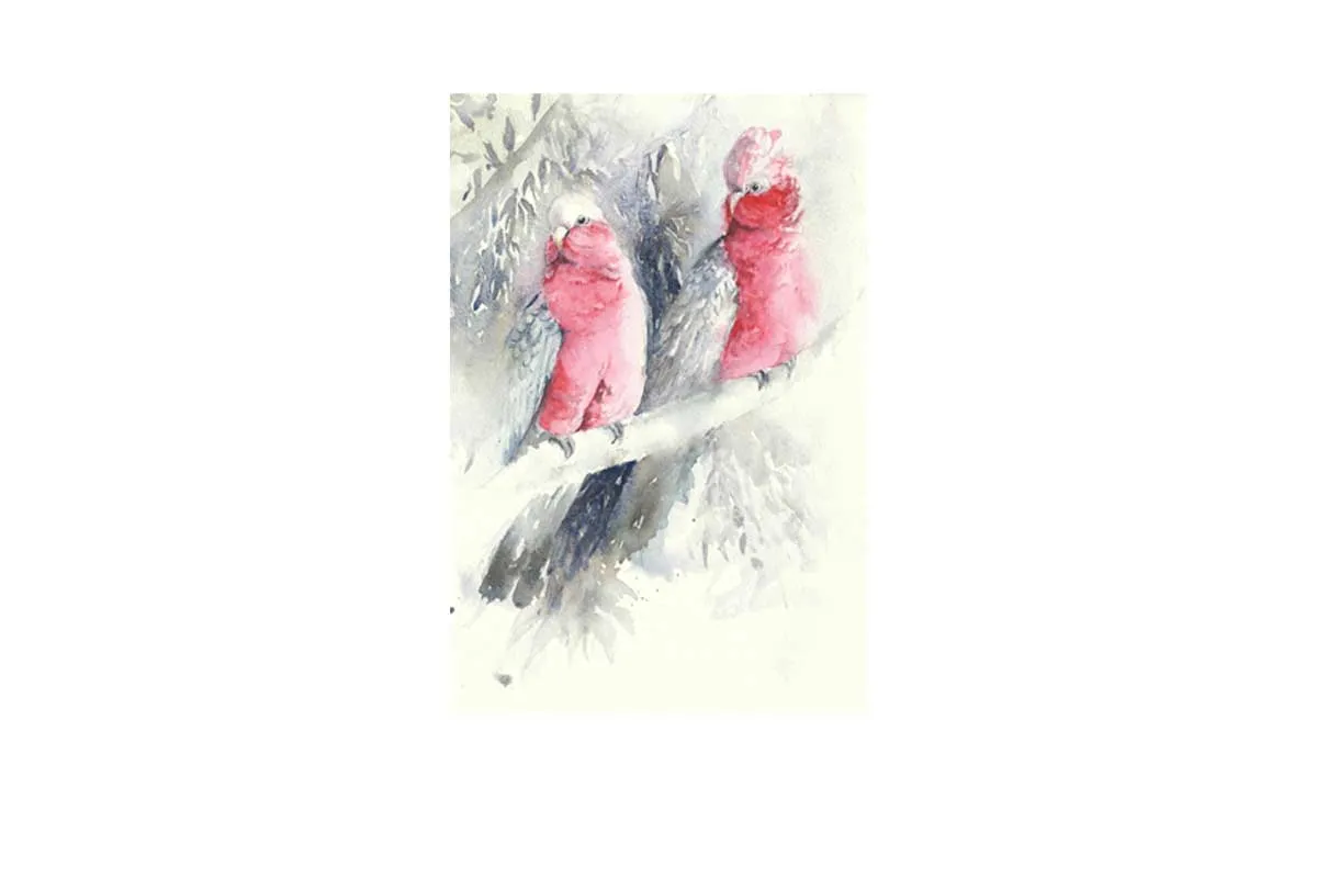 Galahs | Canvas Wall Art Print