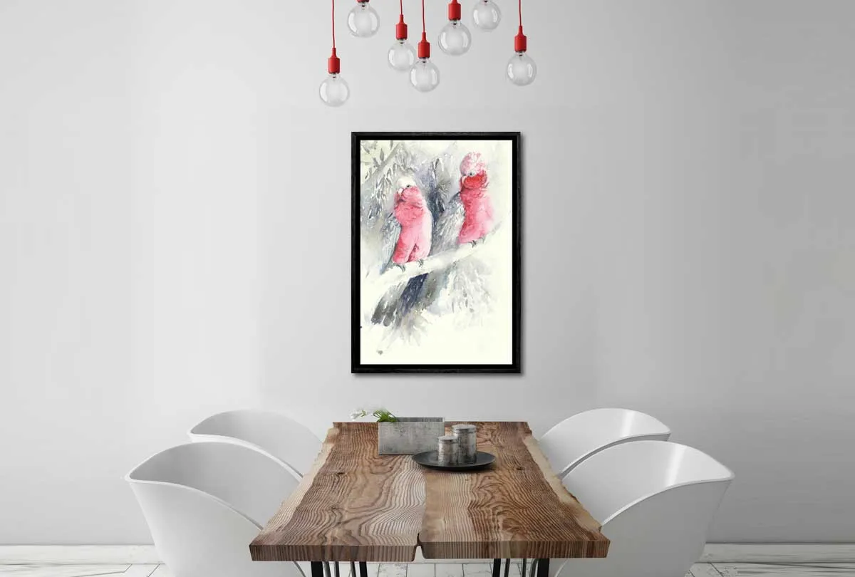 Galahs | Canvas Wall Art Print