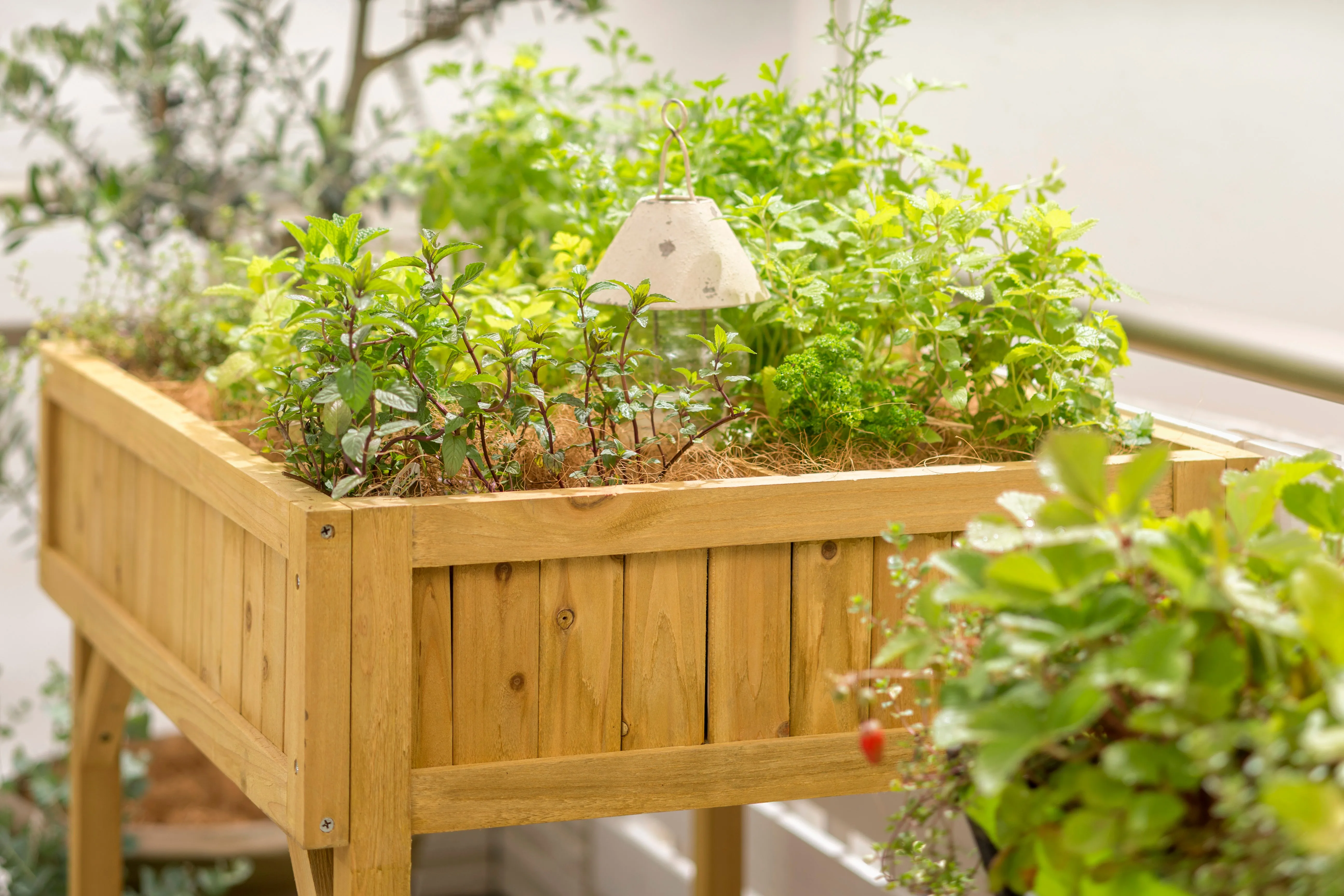 Herb Planter