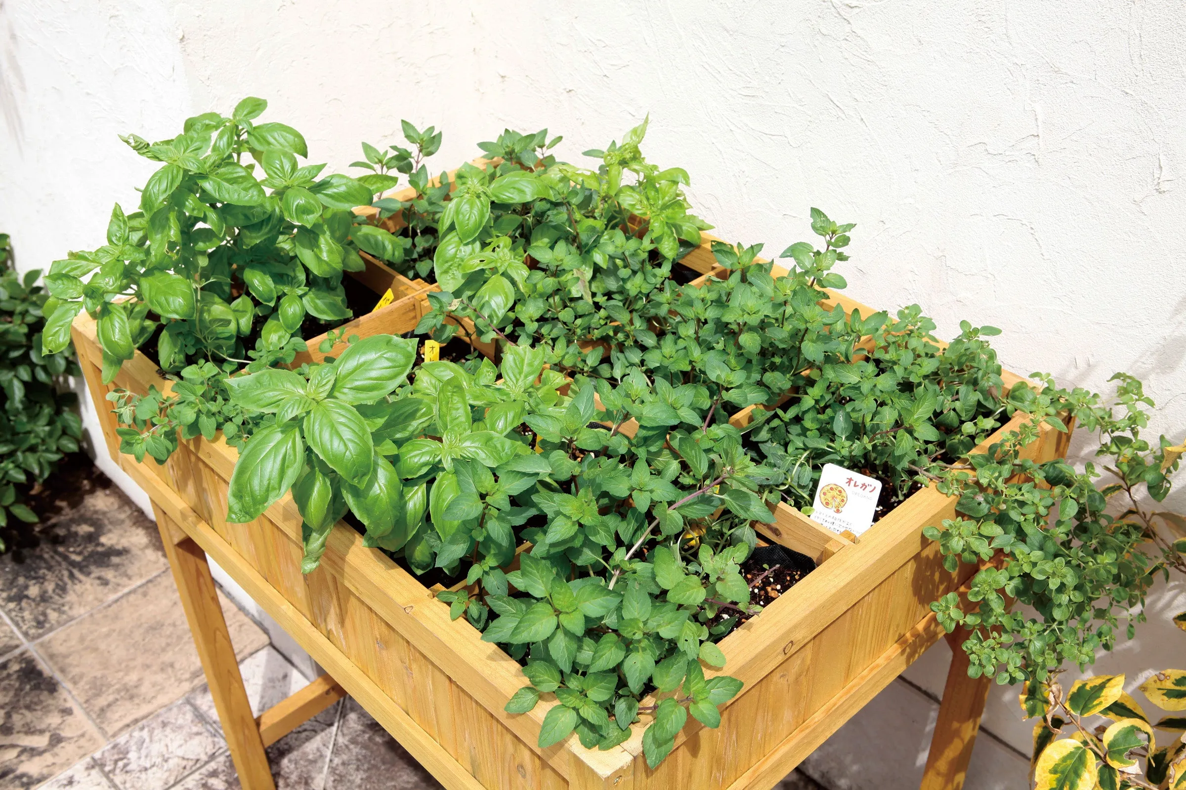 Herb Planter