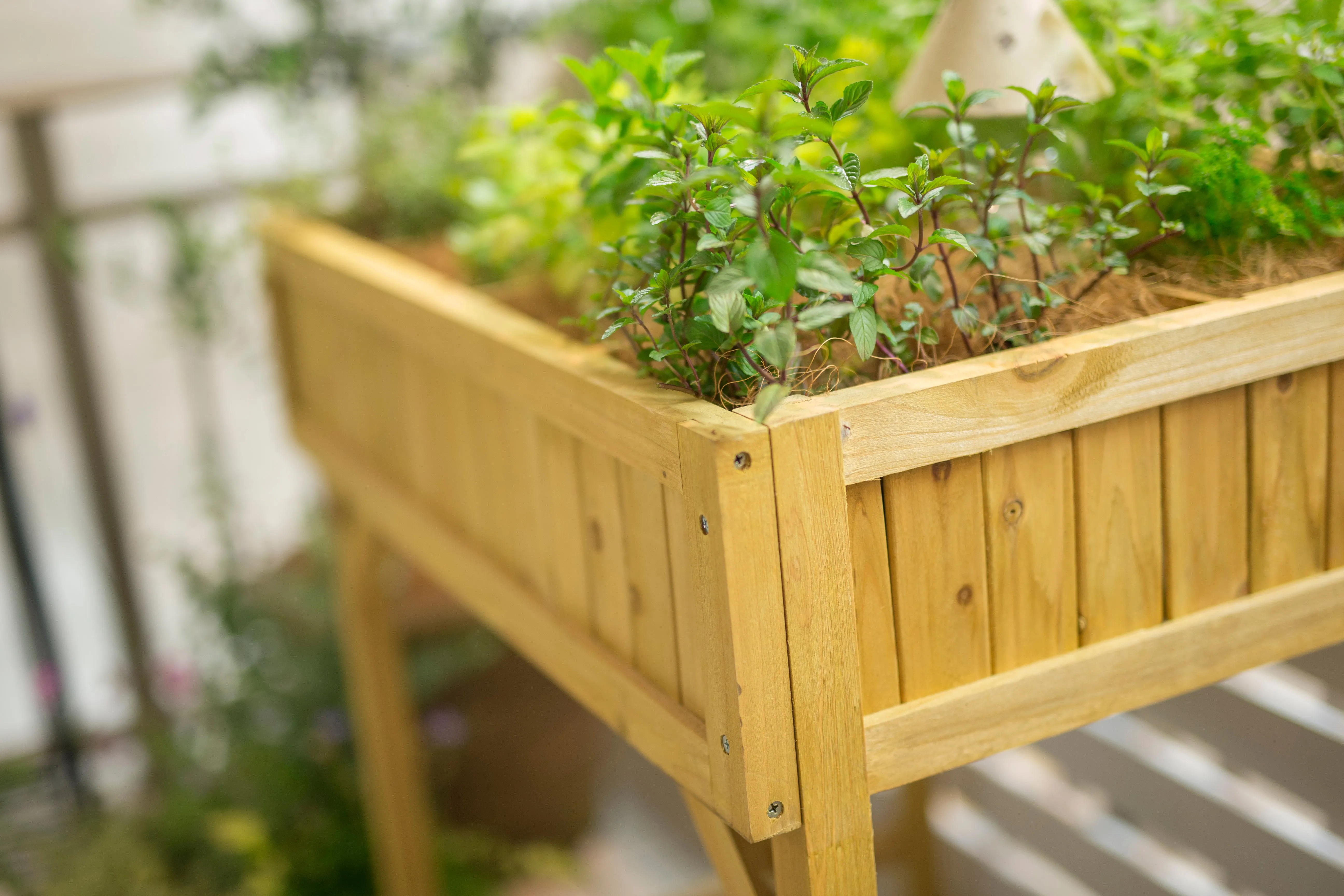 Herb Planter