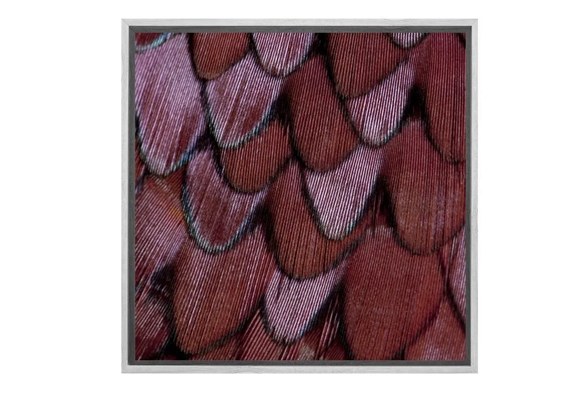 Maroon Feathers | Canvas Art Print